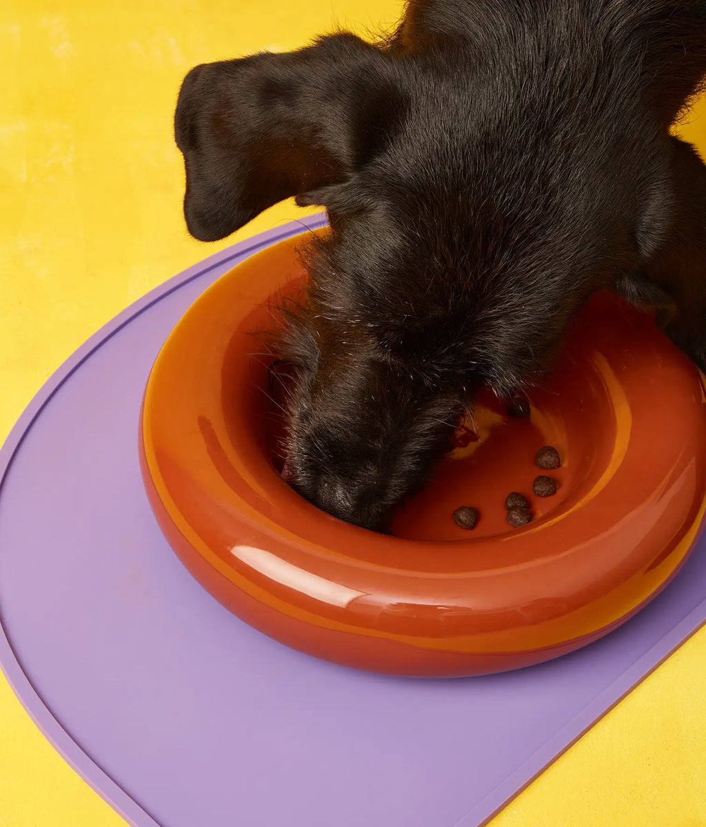 Keramička zdjela za pse