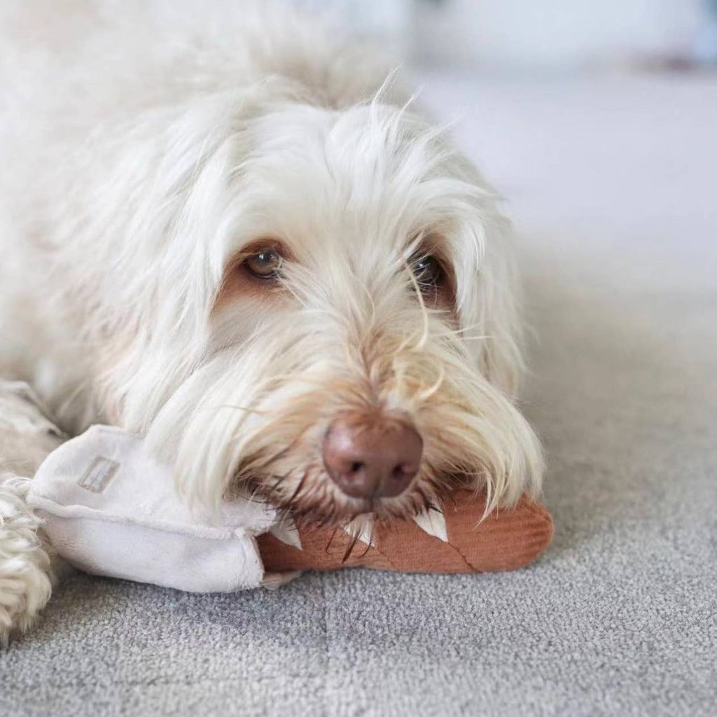 MALI BAGUETTE - Enrichment Igračka