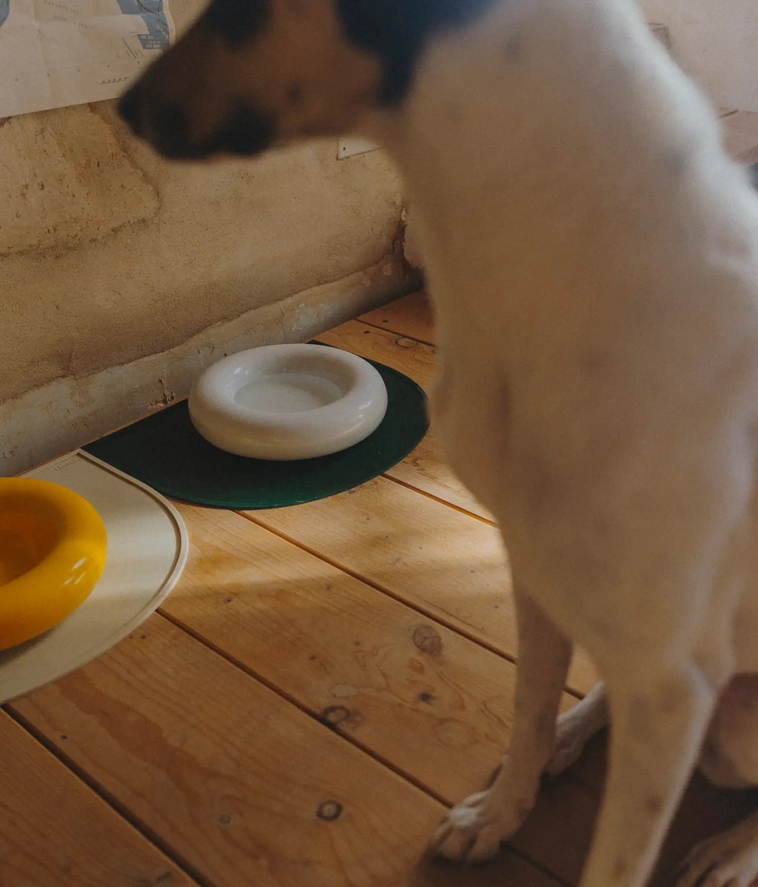 Zelena zaštitna prostirka