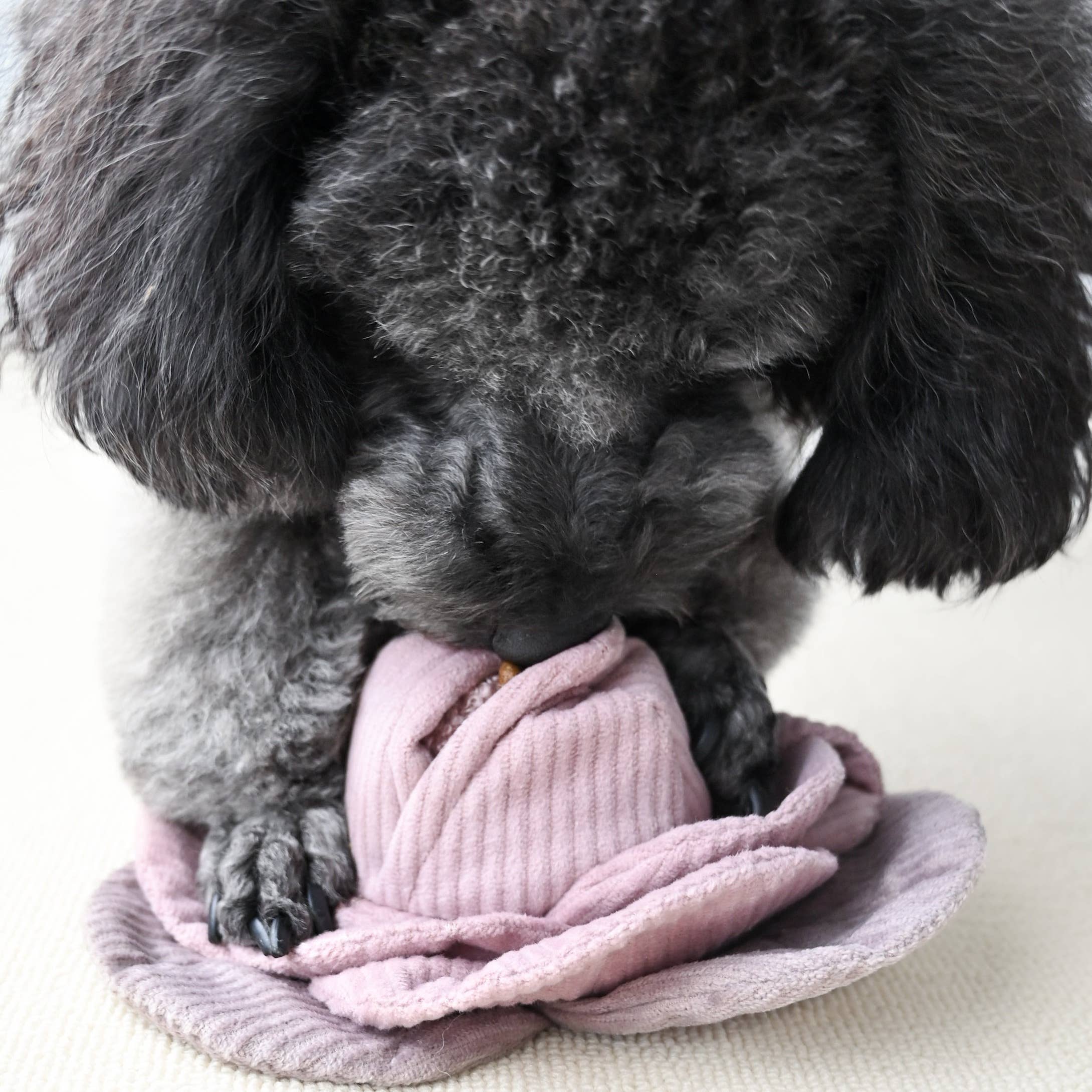 KUPUS - Enrichment Igračka