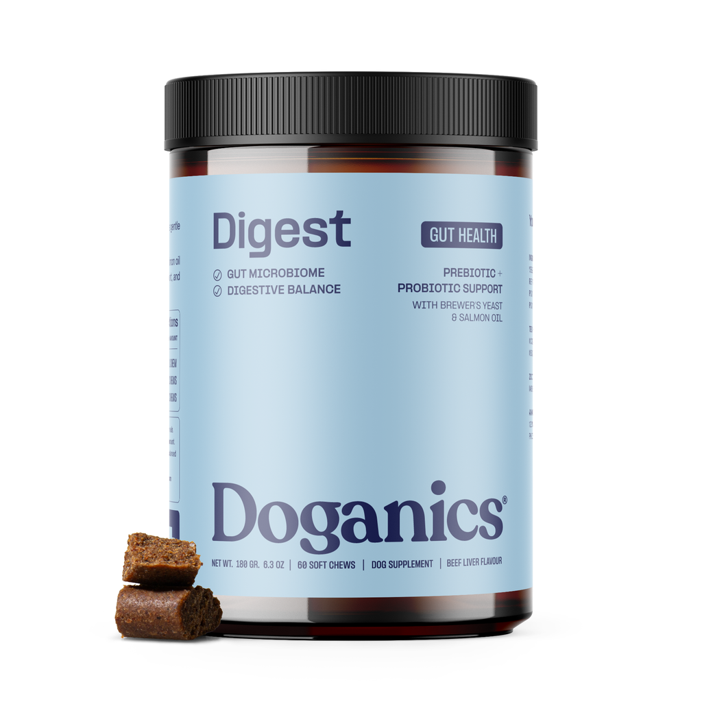 Digest - Probiotici za zdravu probavu