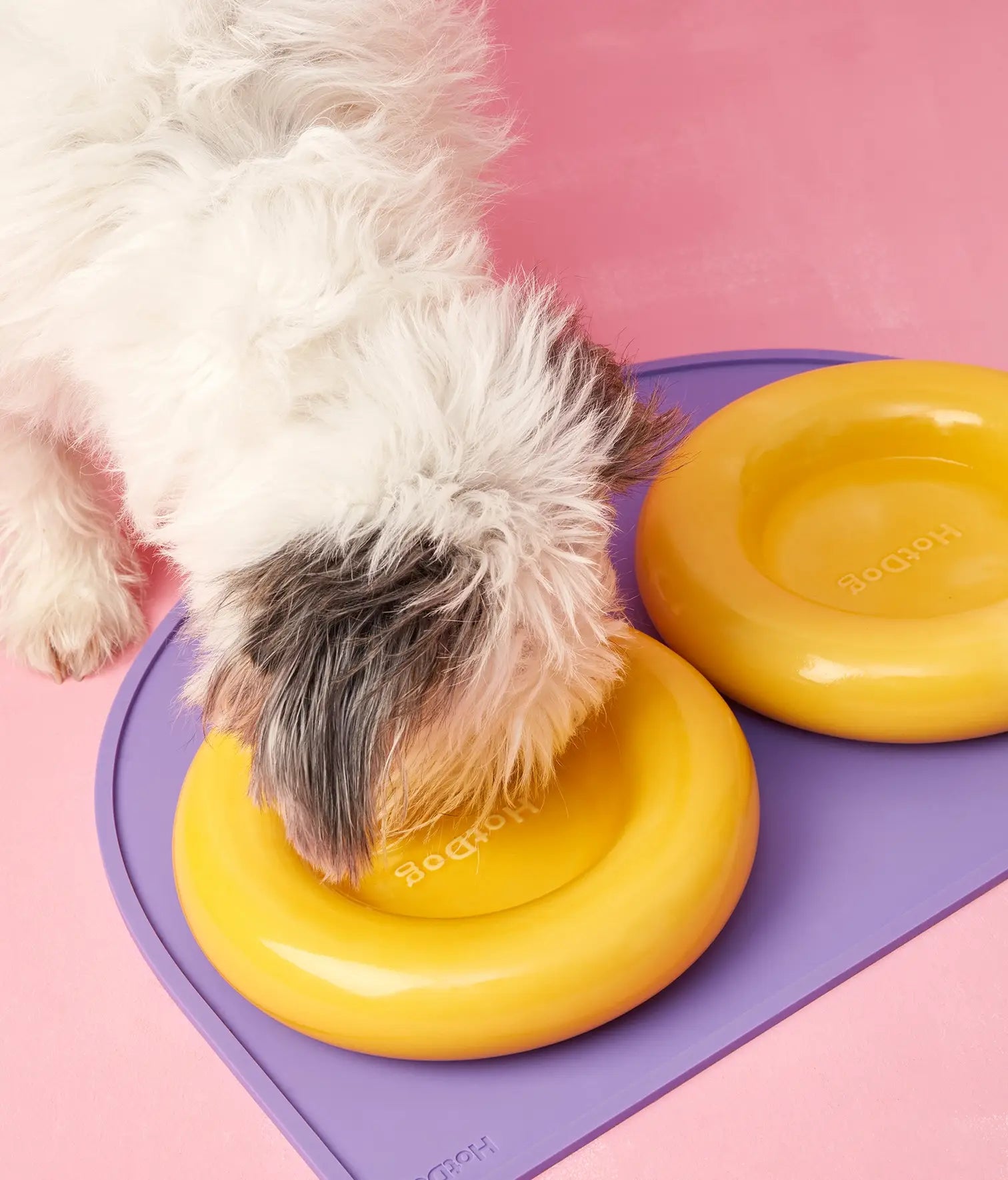 Keramička zdjela za pse