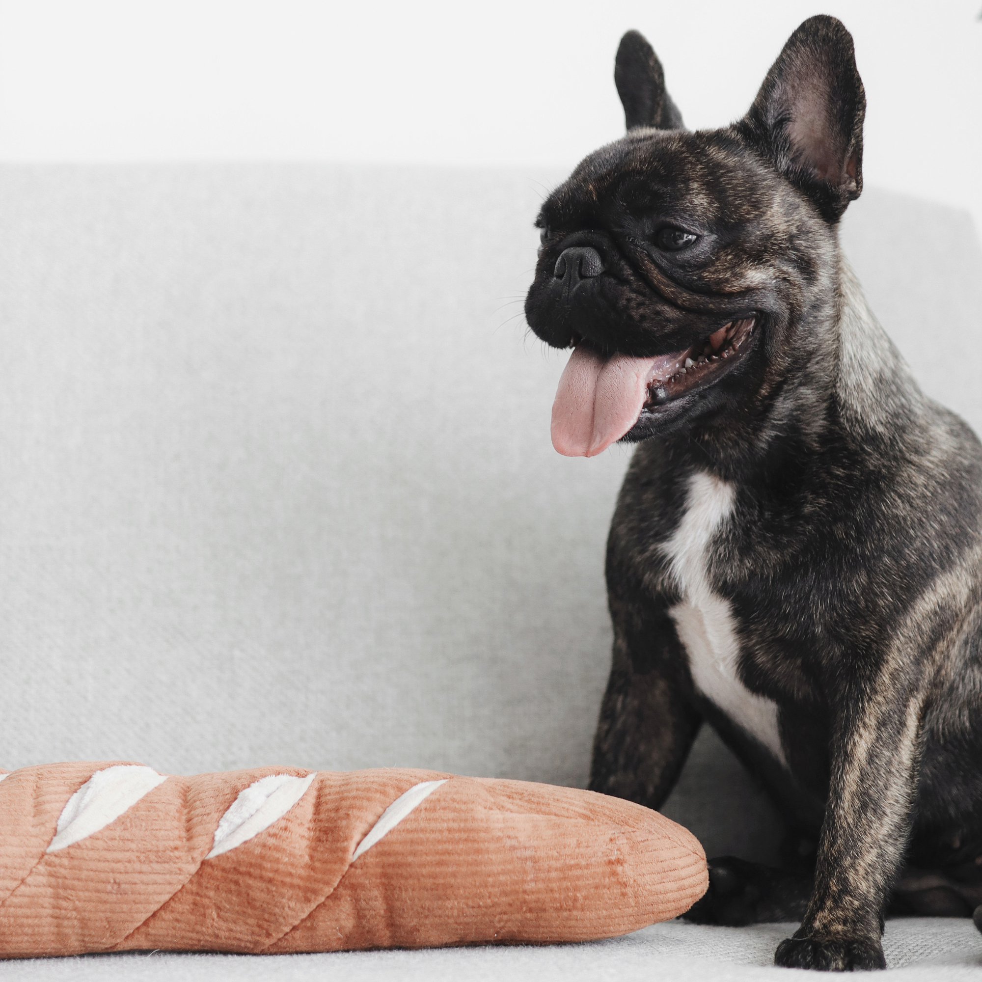 VELIKI BAGUETTE - Enrichment Igračka