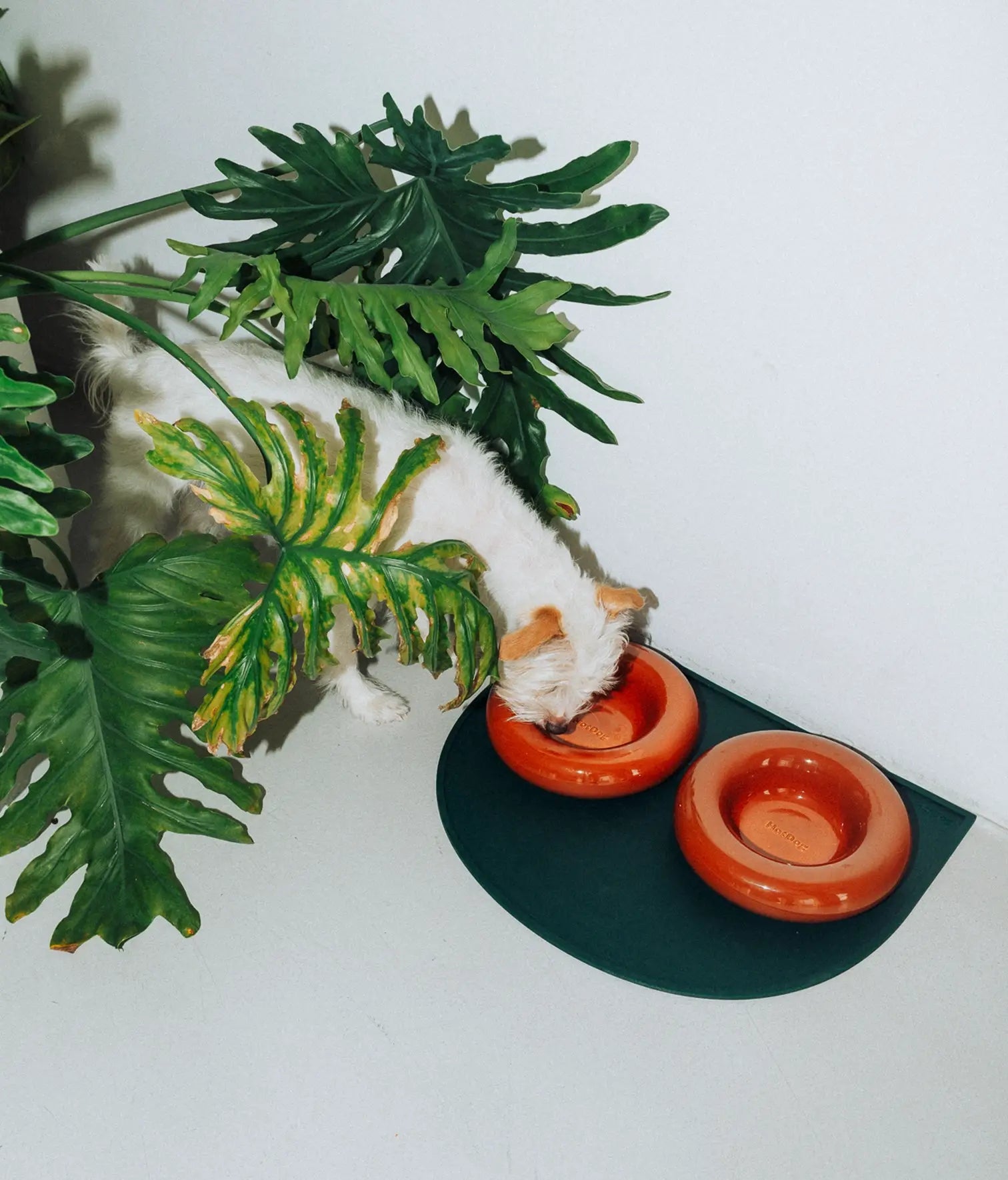 Zelena zaštitna prostirka