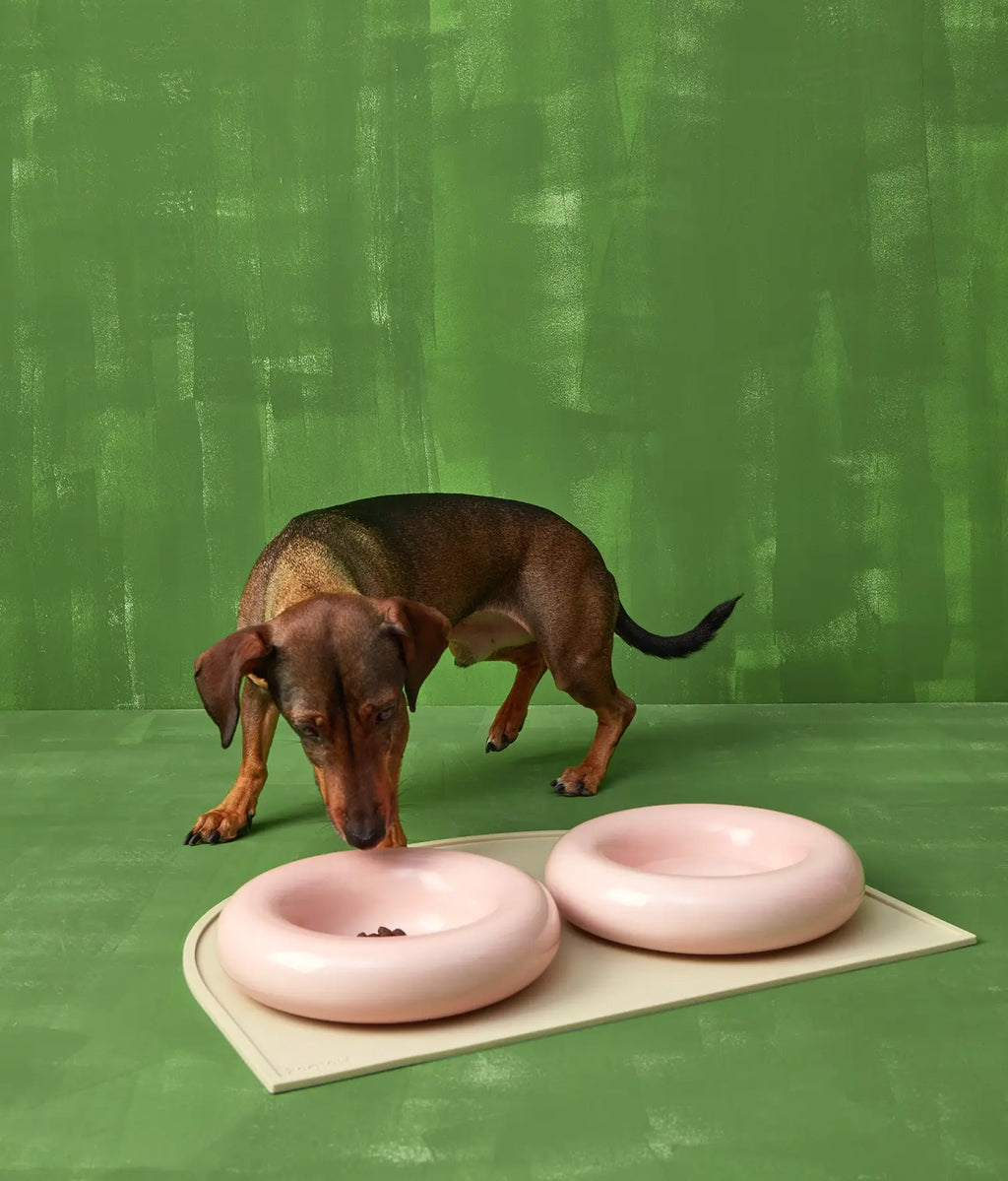 Keramička zdjela za pse