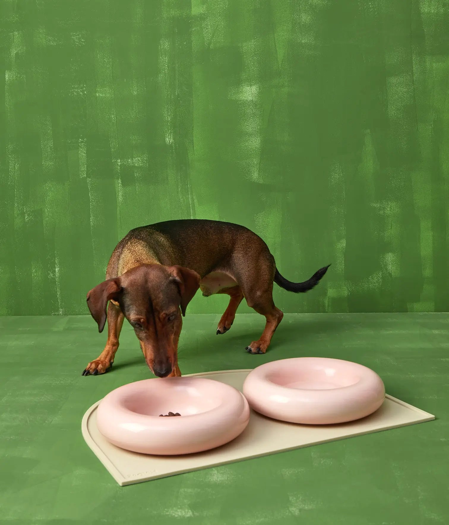 Keramička zdjela za pse