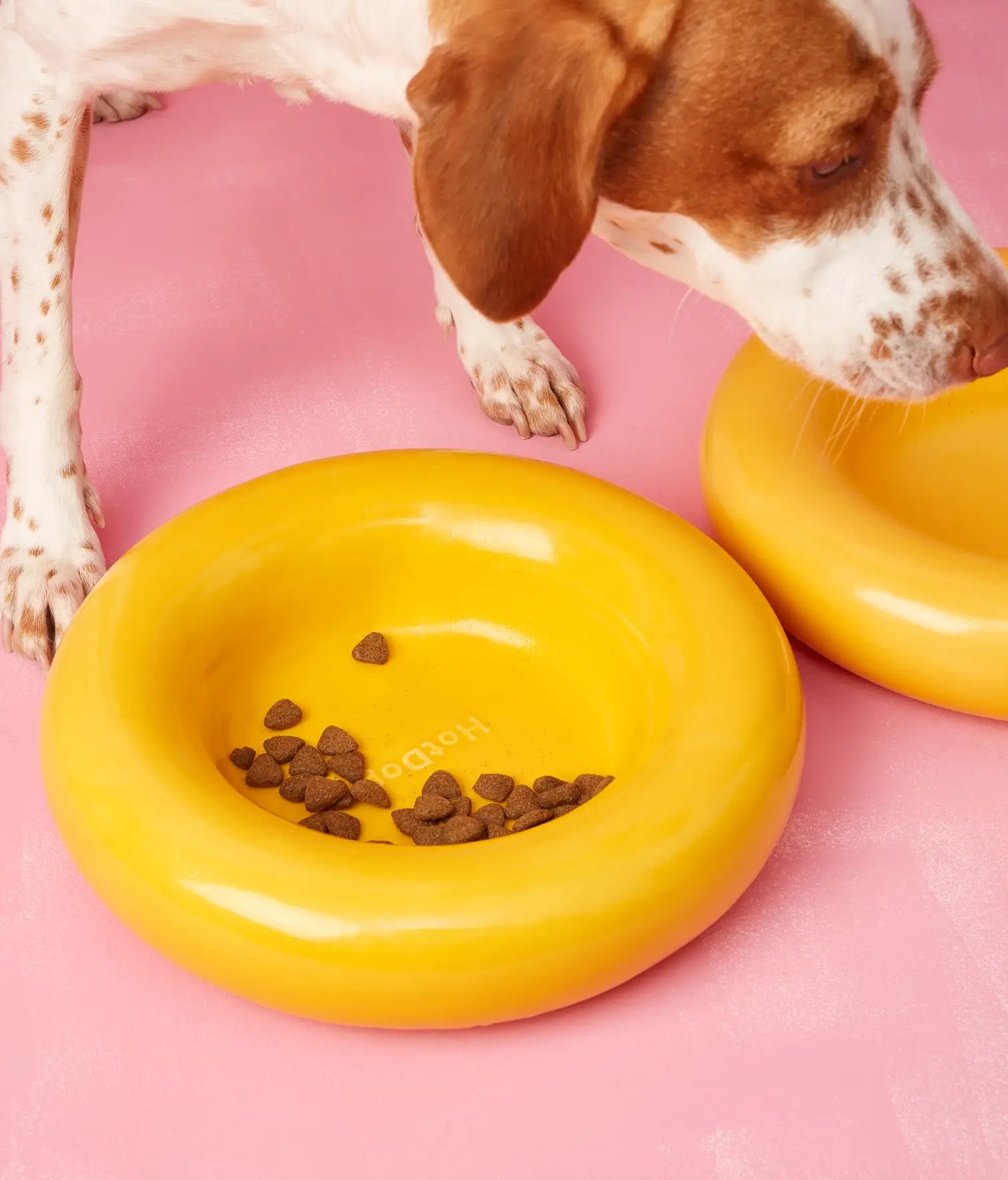 Keramička zdjela za pse