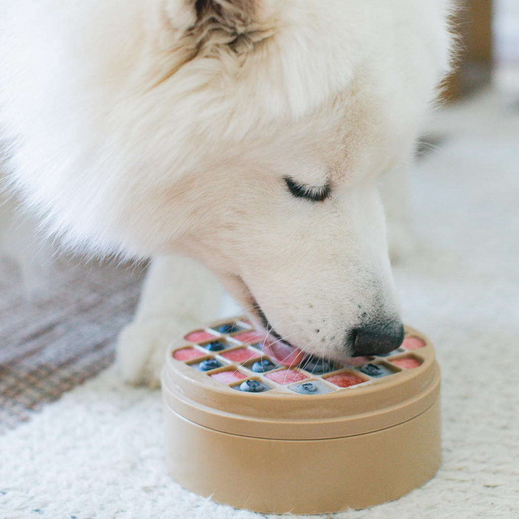 3-u-1 BENTO - Lick mat + Slow feeder