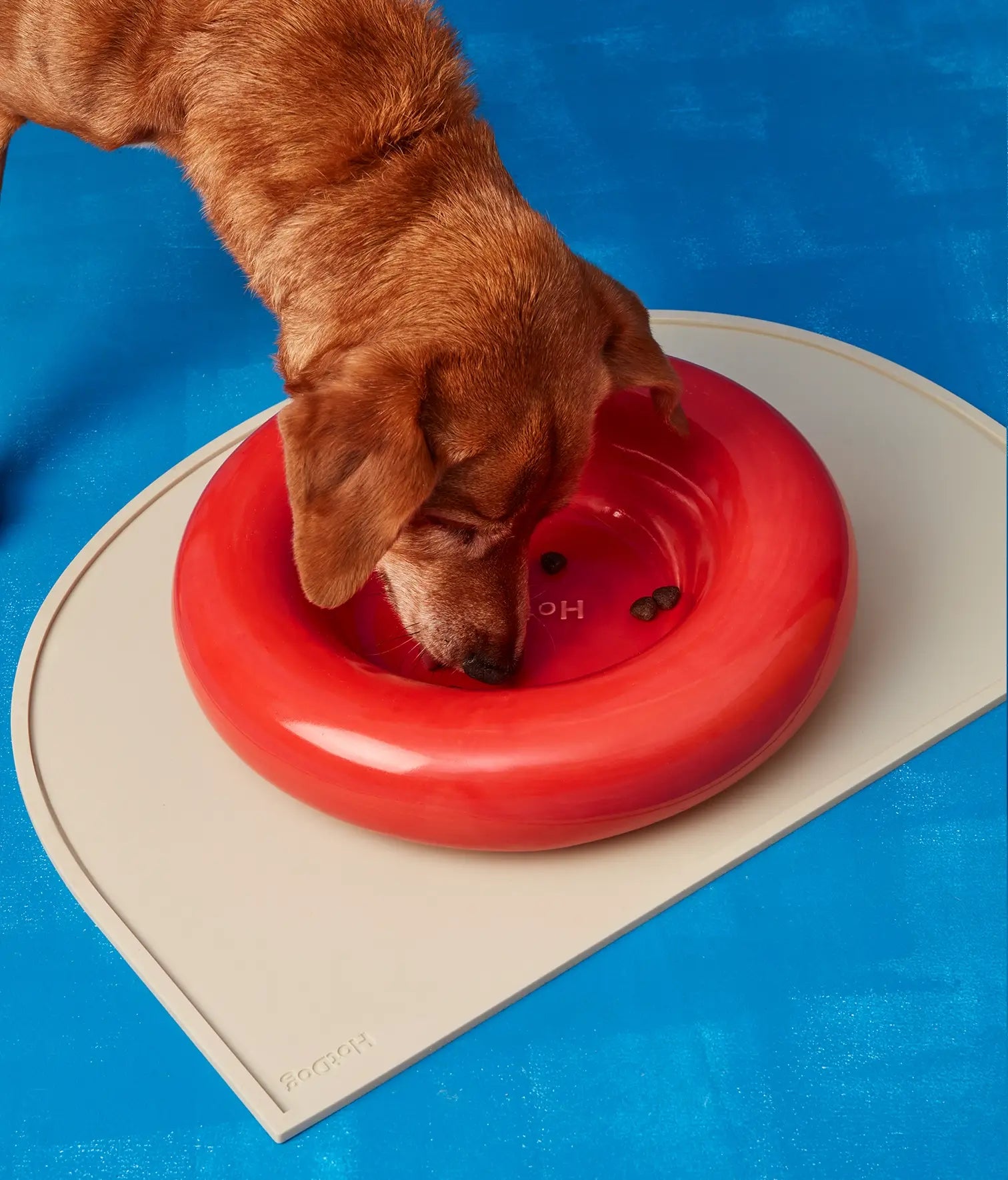 Keramička zdjela za pse