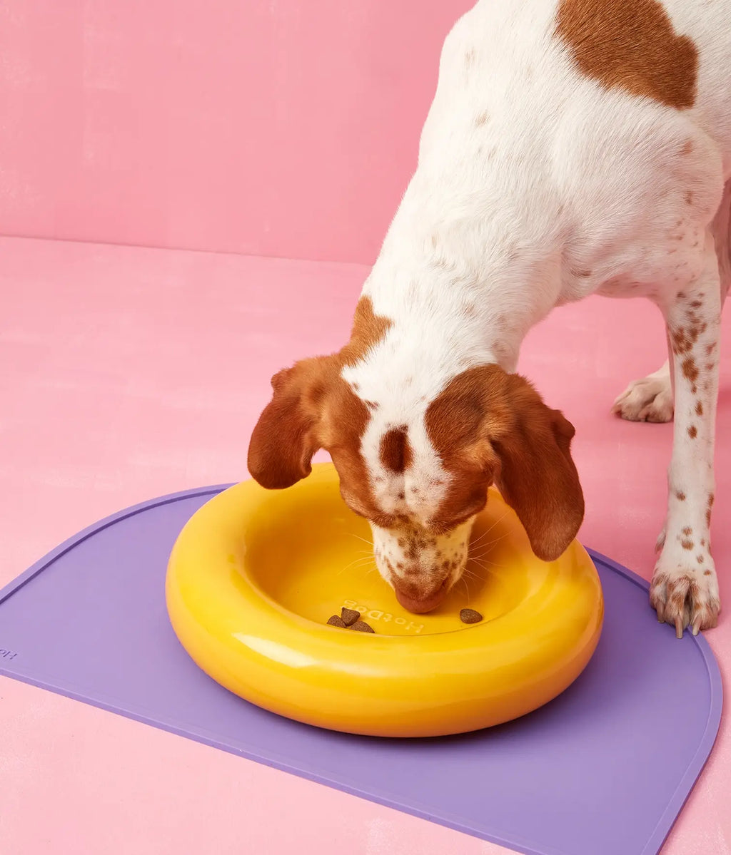 Keramička zdjela za pse