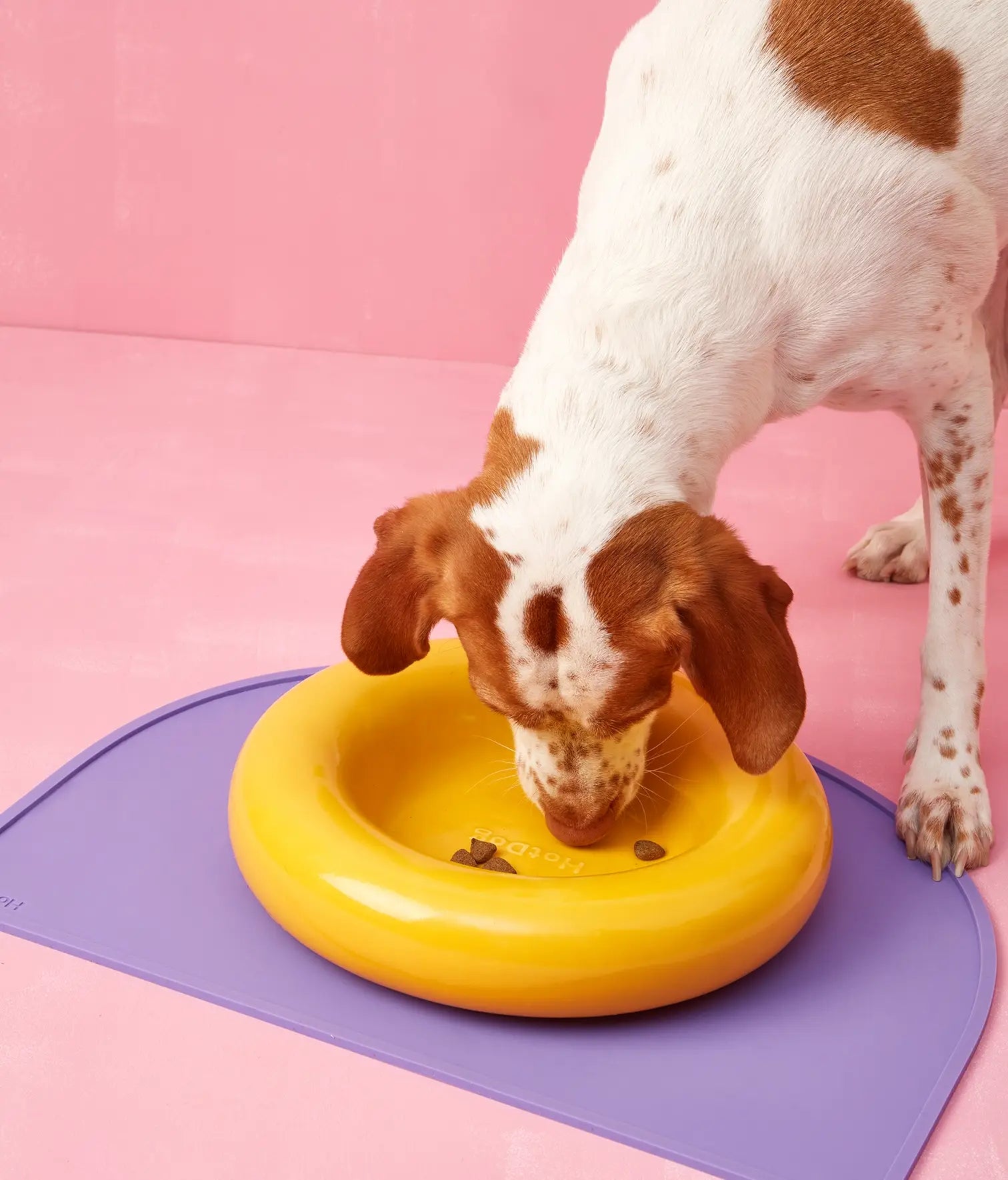 Keramička zdjela za pse