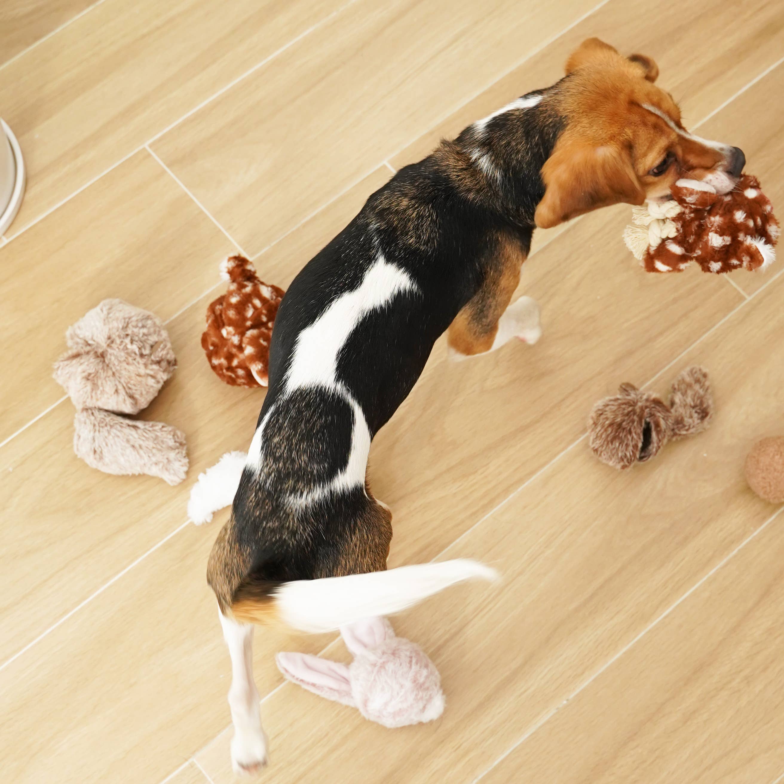 POP - Enrichment Igračka