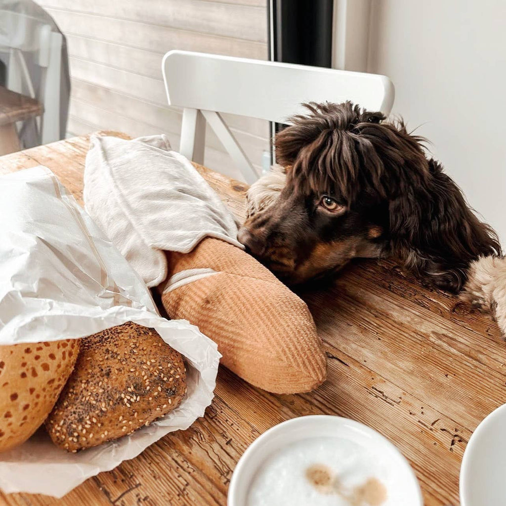 VELIKI BAGUETTE - Enrichment Igračka
