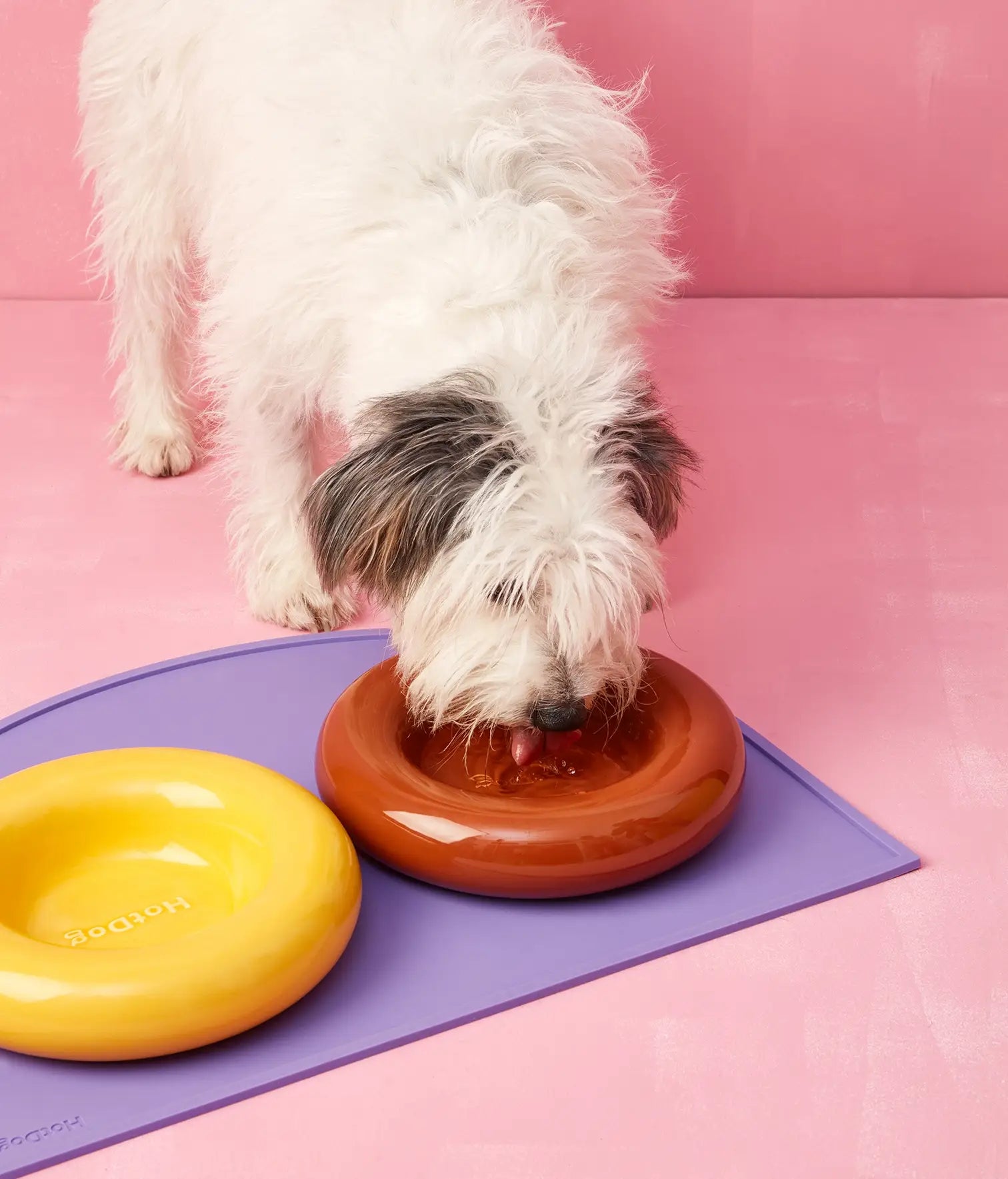 Keramička zdjela za pse