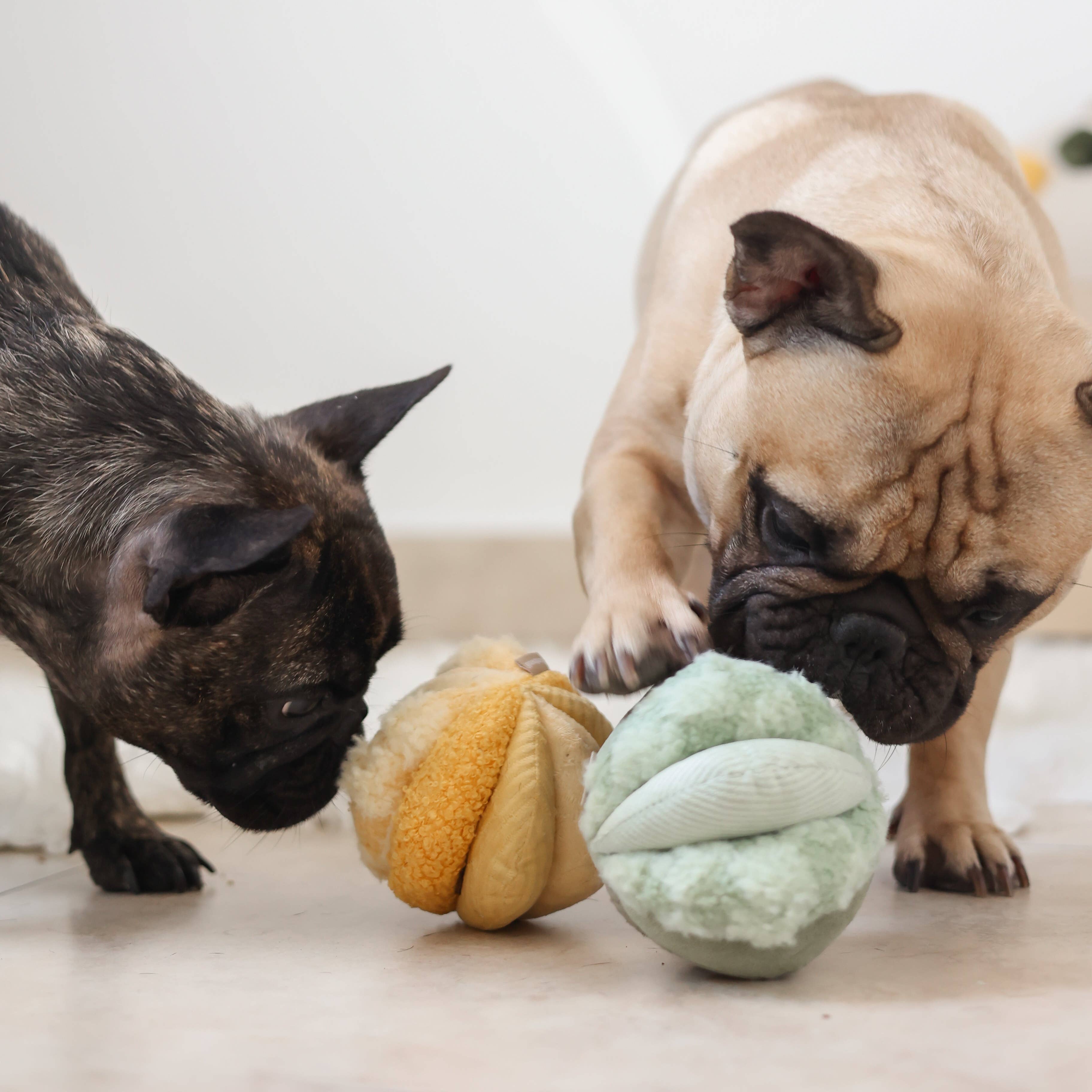 TOTO - Enrichment Igračka