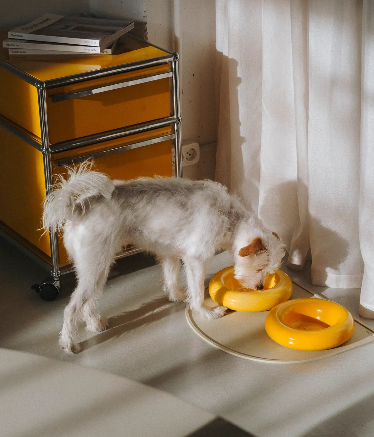 Keramička zdjela za pse