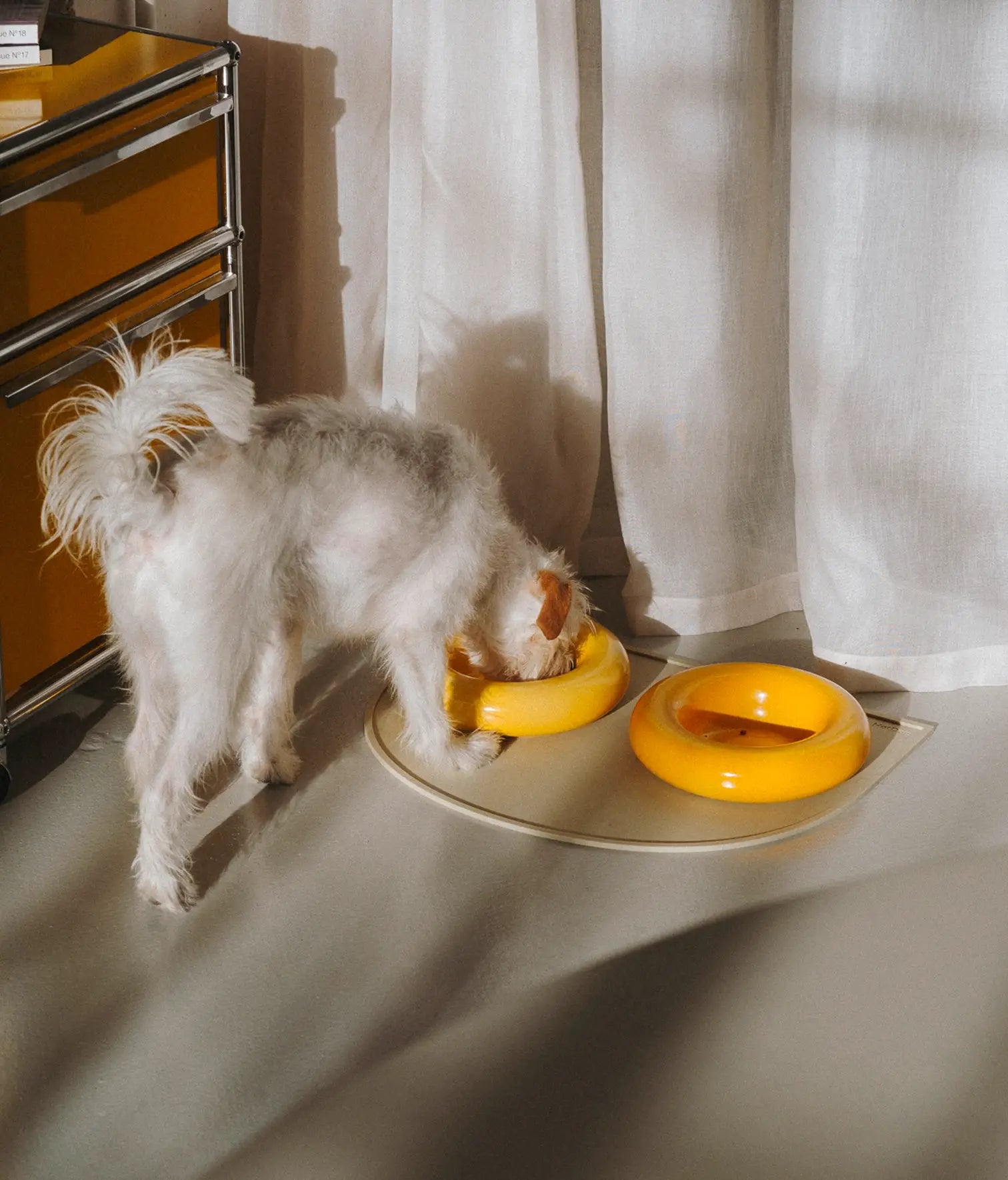 Keramička zdjela za pse