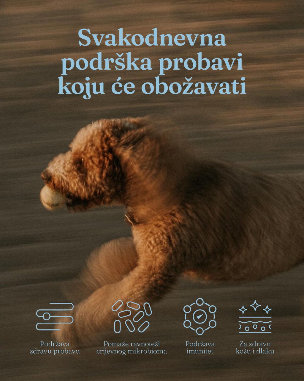 Digest - Probiotici za zdravu probavu