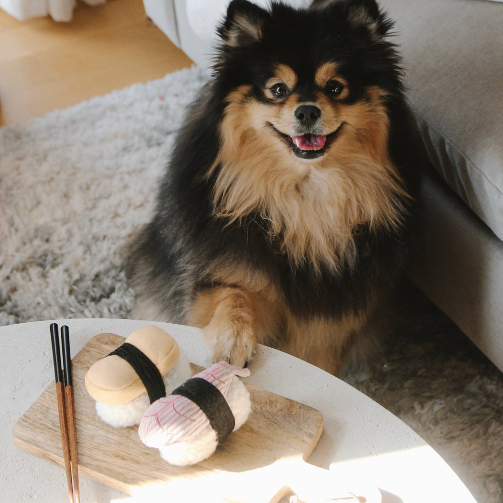 SUSHI - Enrichment Igračka
