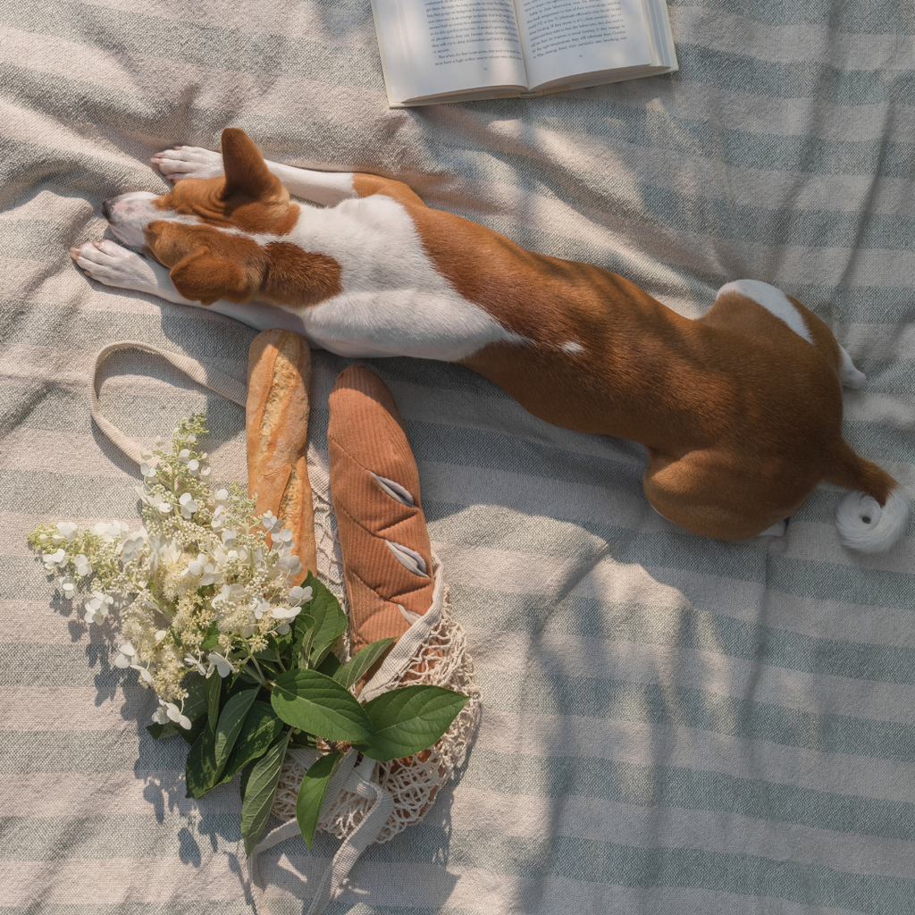 VELIKI BAGUETTE - Enrichment Igračka