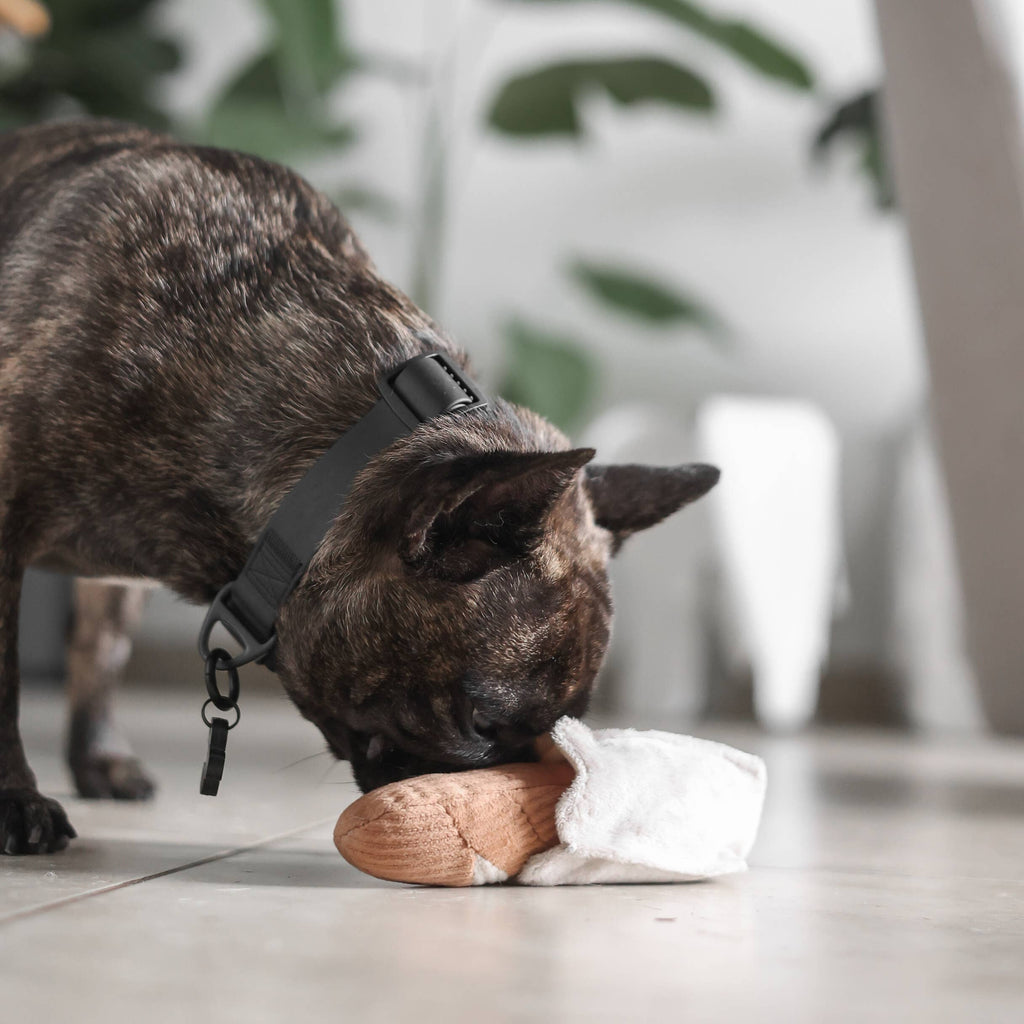 MALI BAGUETTE - Enrichment Igračka