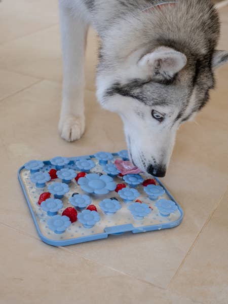 Daisy Lick Mat - podloga za lizanje