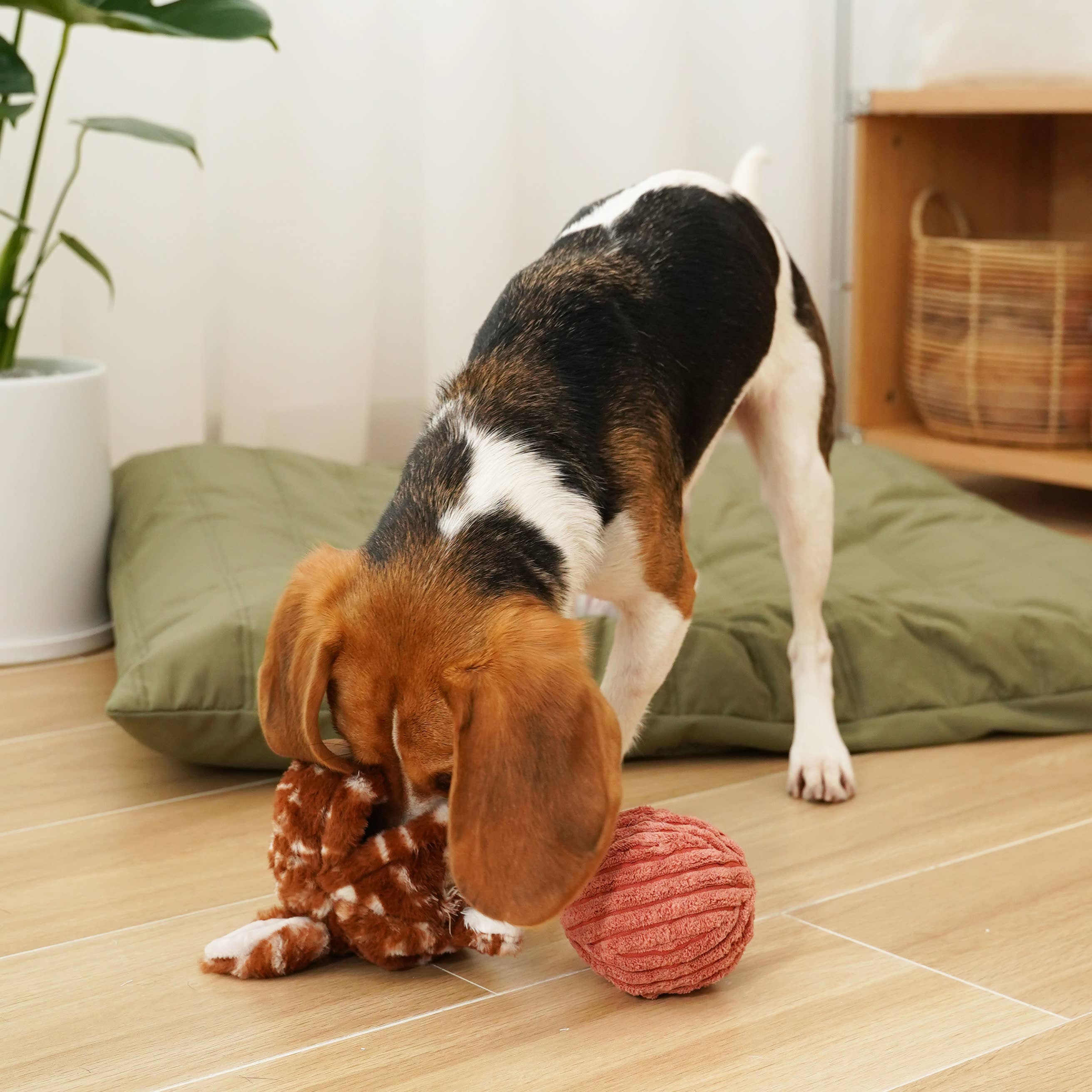 POP - Enrichment Igračka