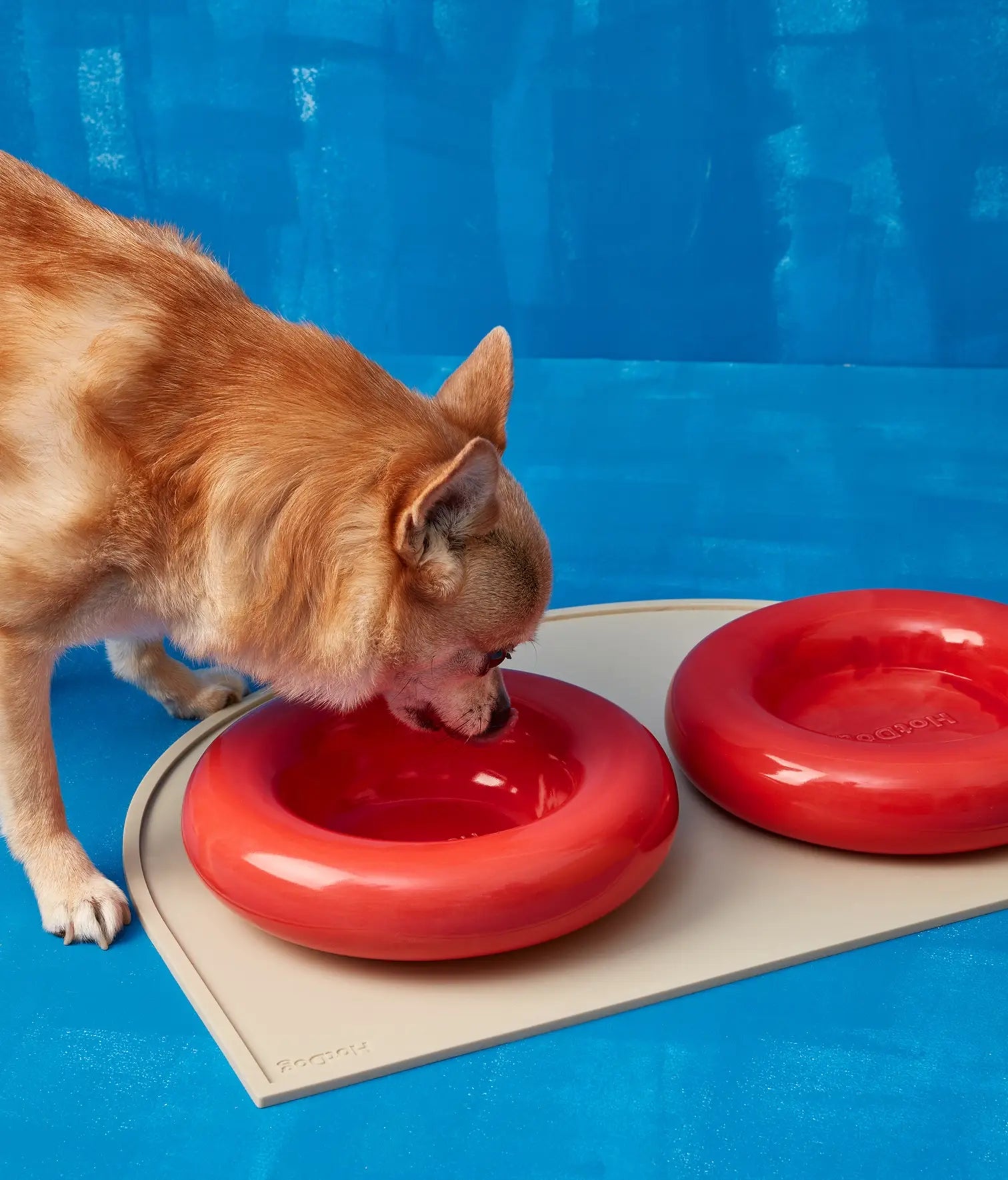 Keramička zdjela za pse