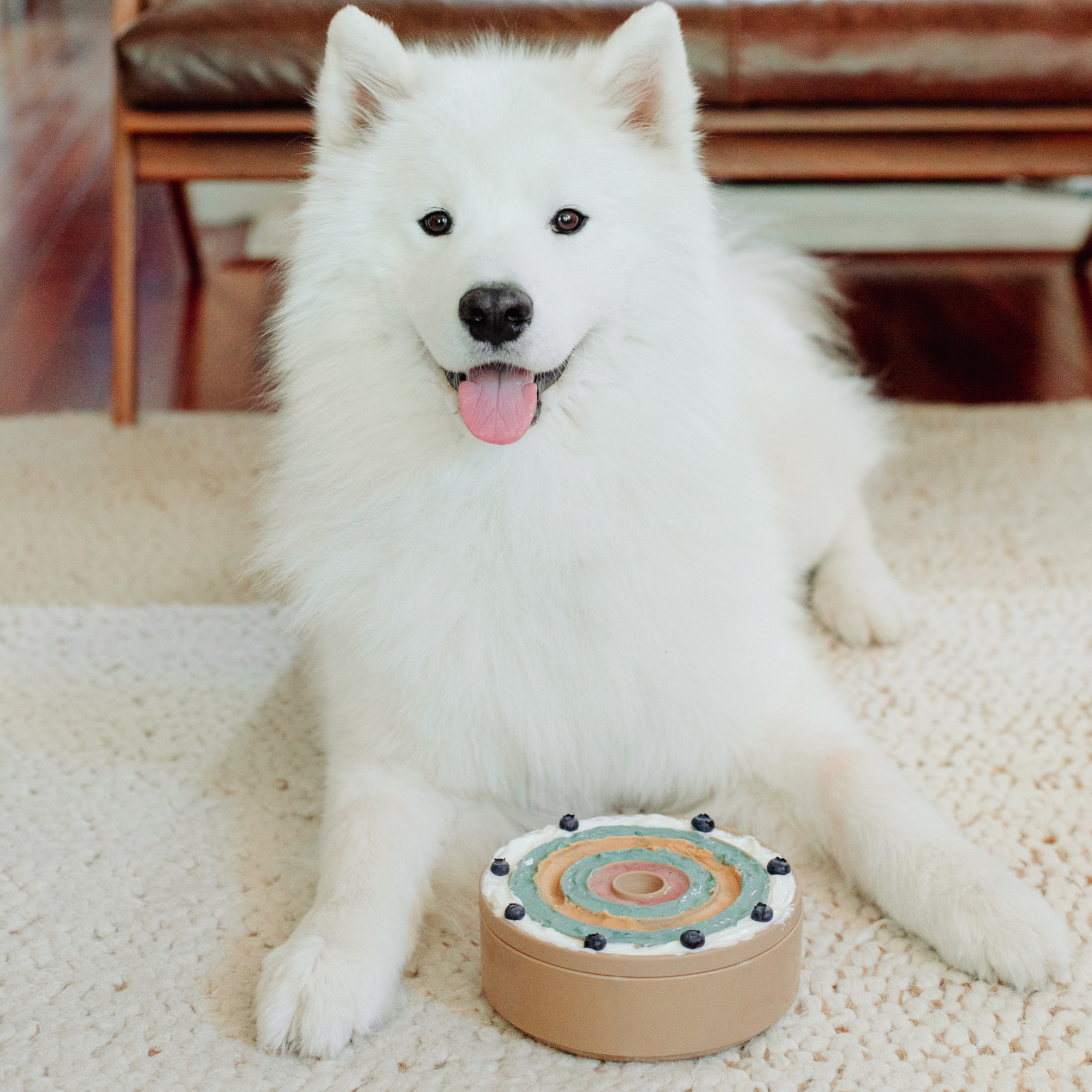 3-u-1 BENTO - Lick mat + Slow feeder