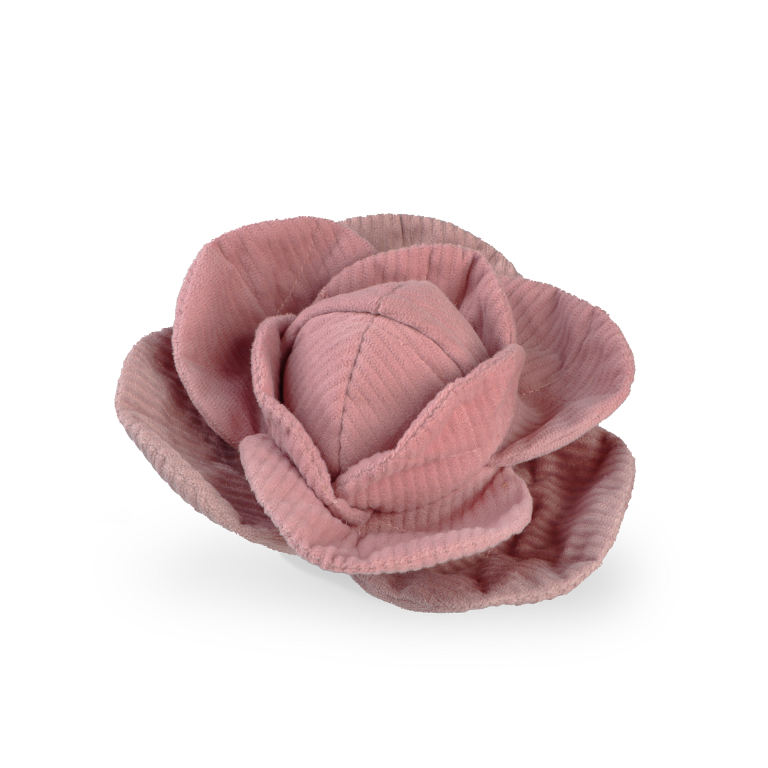 KUPUS - Enrichment Igračka