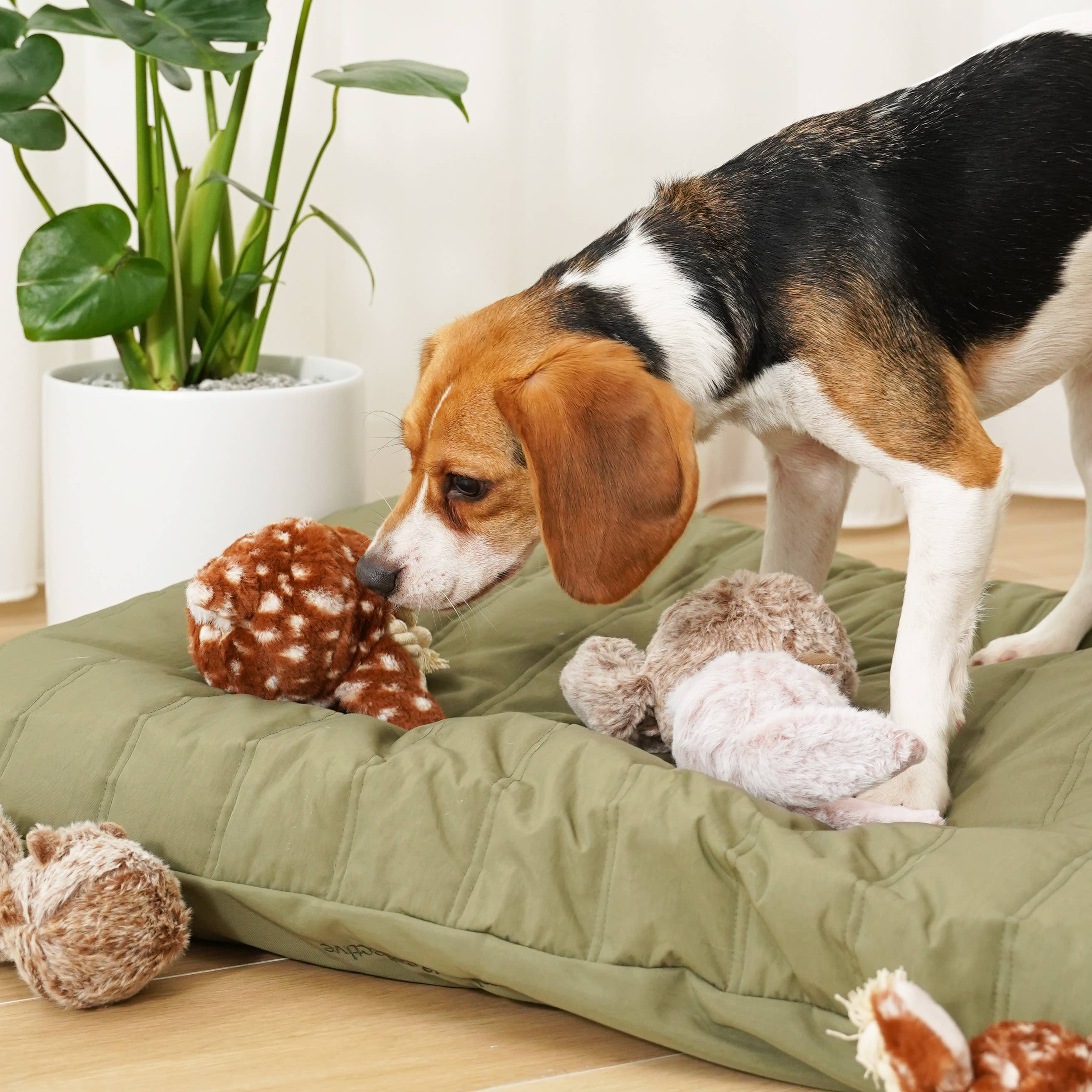 POP - Enrichment Igračka