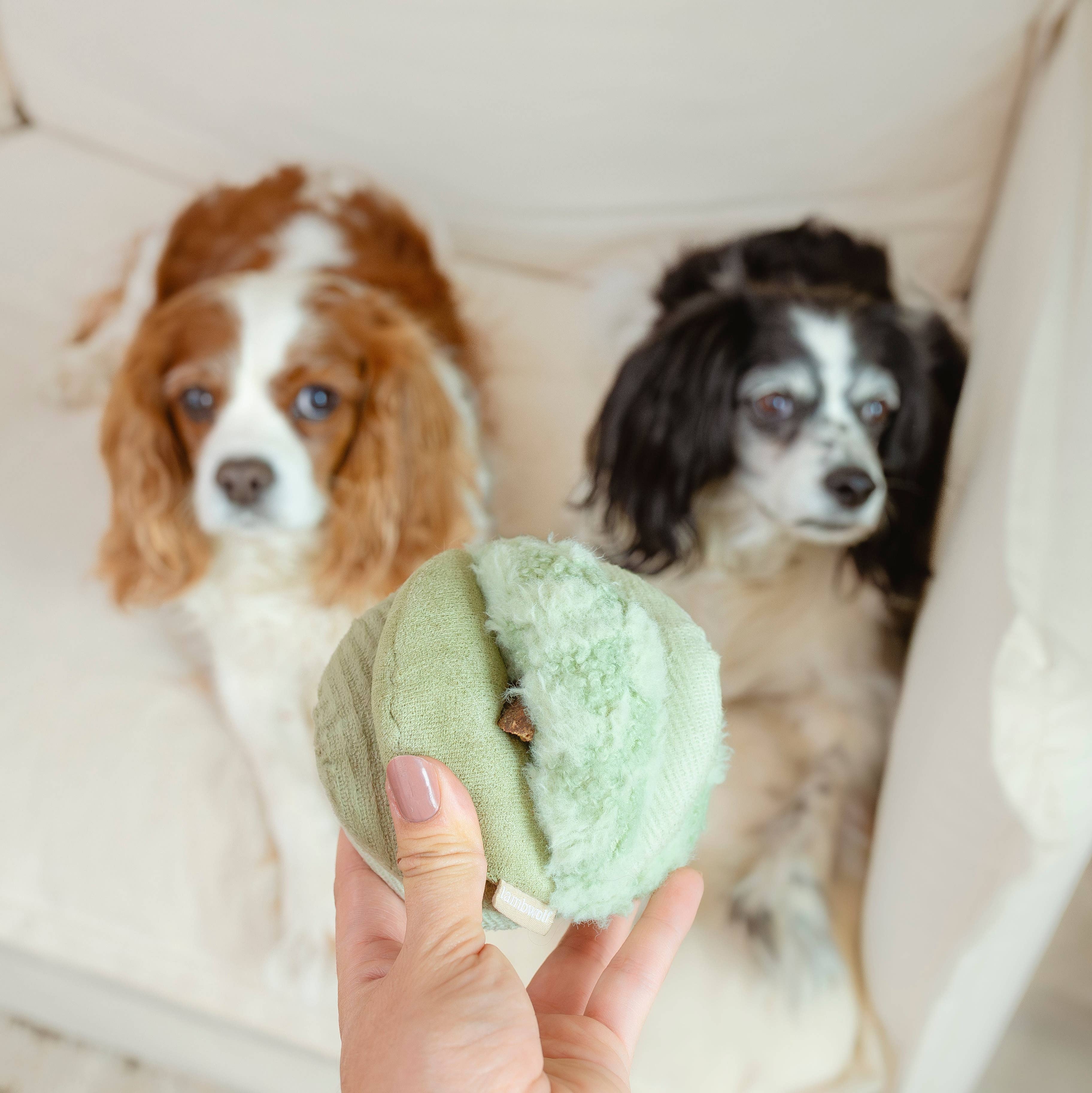 TOTO - Enrichment Igračka