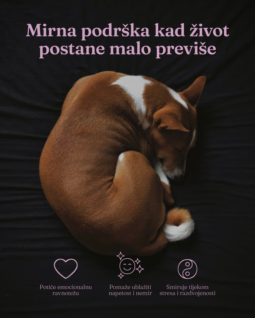 Mood Calm & Relax – prirodna podrška smirenosti