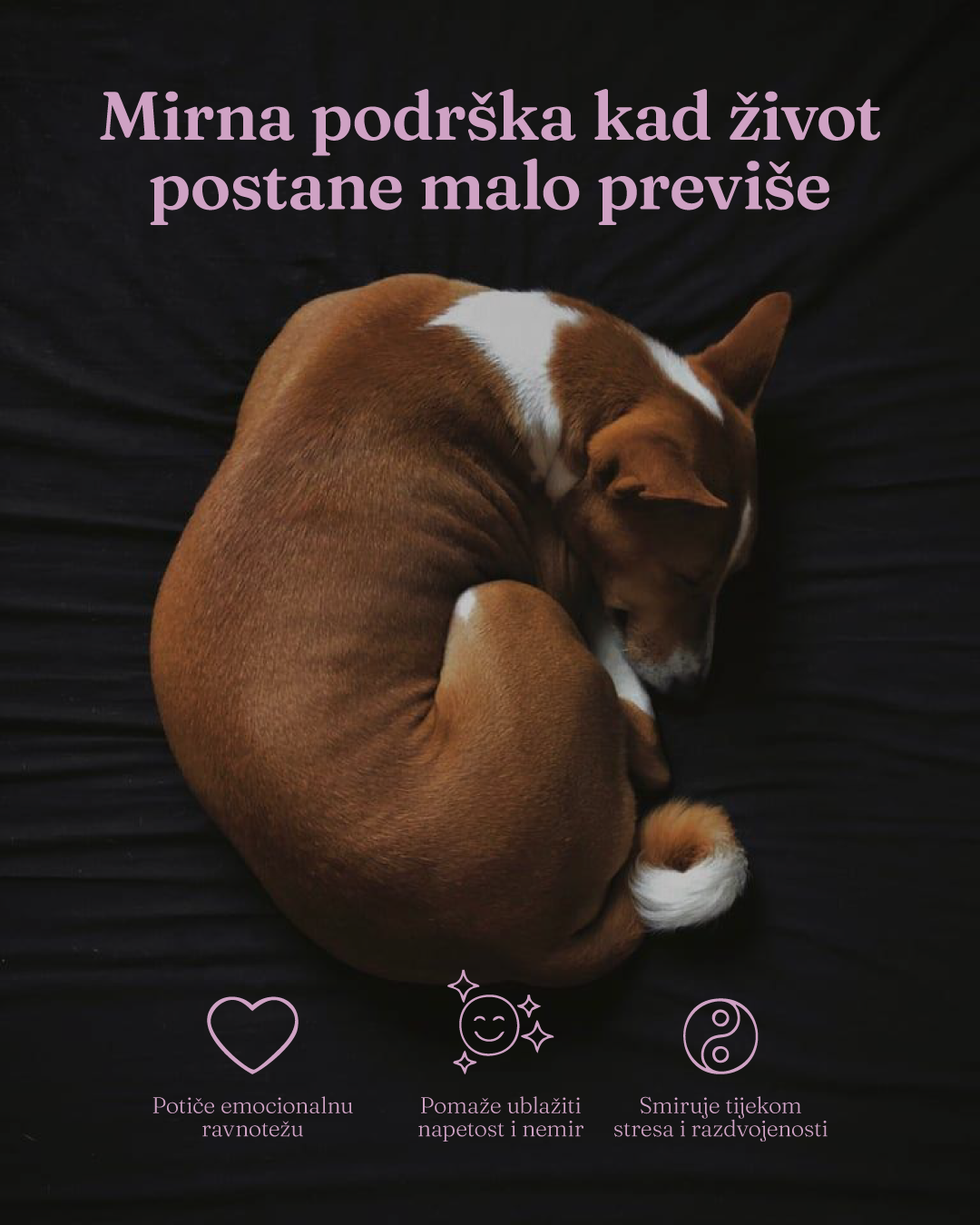 Mood Calm & Relax – prirodna podrška smirenosti