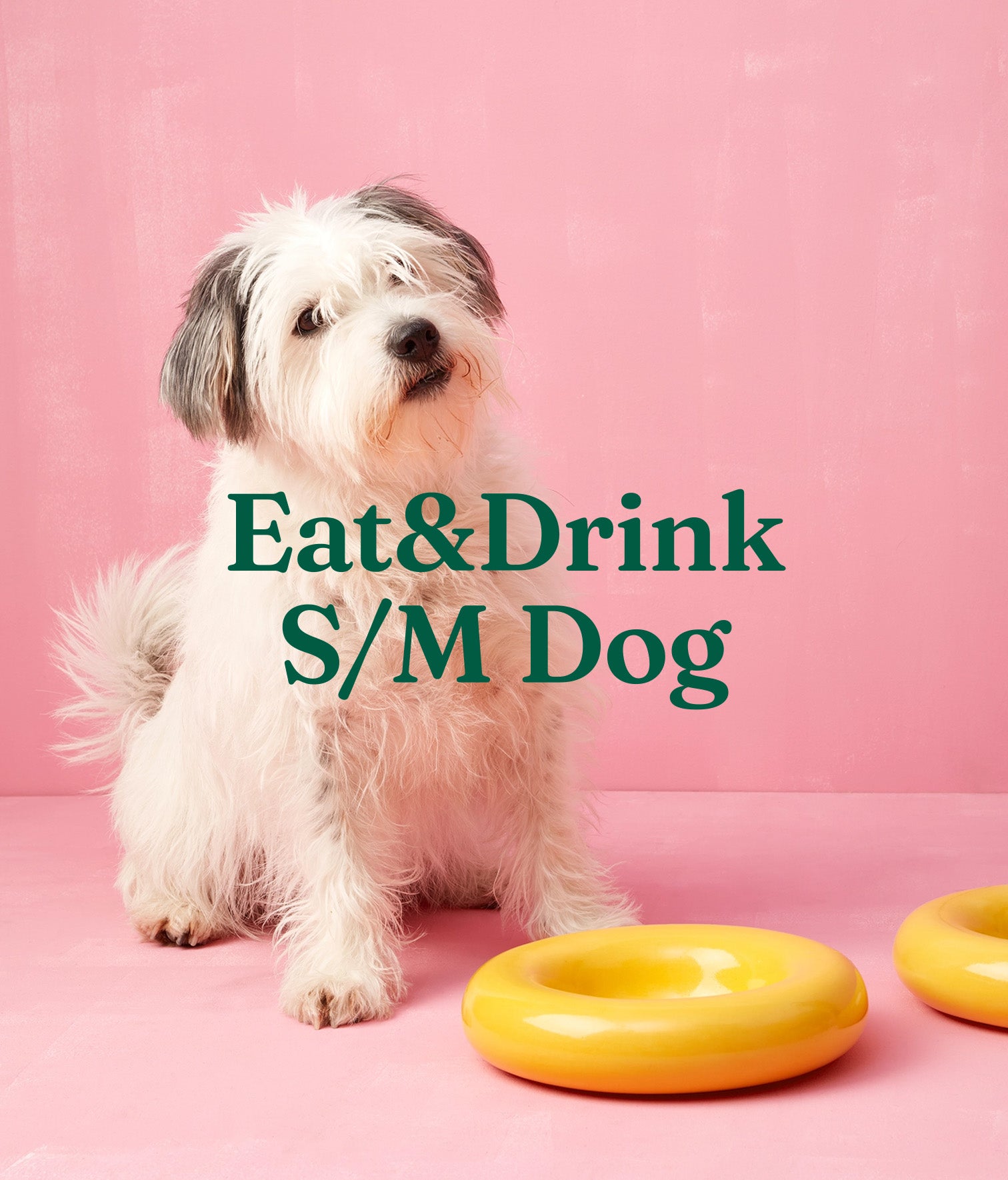 Eat&Drink S/M Dog
